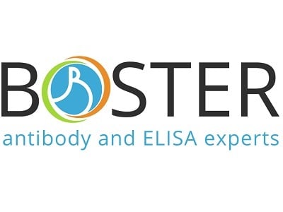 Boster Bio Lieferanten logo