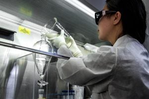 plasmid dna isolation
