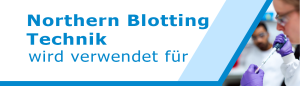 Northern Blotting Technik wird verwendet für