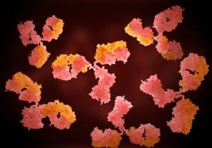 IgA Mangel Immunoglobulin A