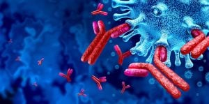 Was sind Immunglobuline (Typen, Struktur...)