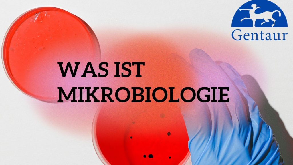 Was ist Mikrobiologie