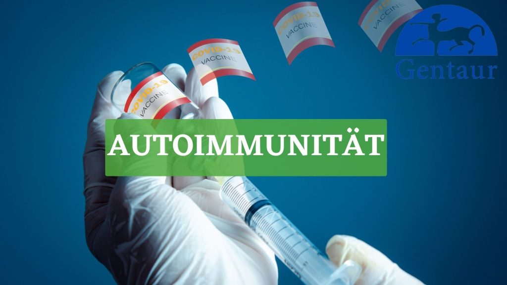 Autoimmunität autoimmunerkran