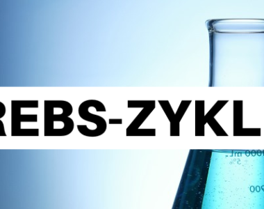 Krebs-Zyklus