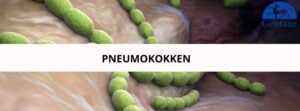 Pneumokokkem - was unsere Kinfer angreift Hauptbild des Artikels