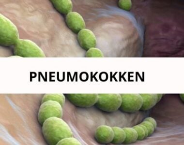 Pneumokokkem - was unsere Kinfer angreift Hauptbild des Artikels