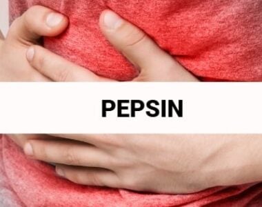 Pepsin – was es ist und wo es vorkommt Artikel