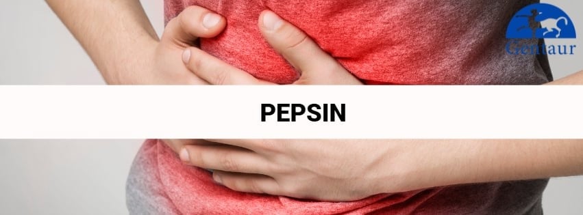 Pepsin – was es ist und wo es vorkommt Artikel